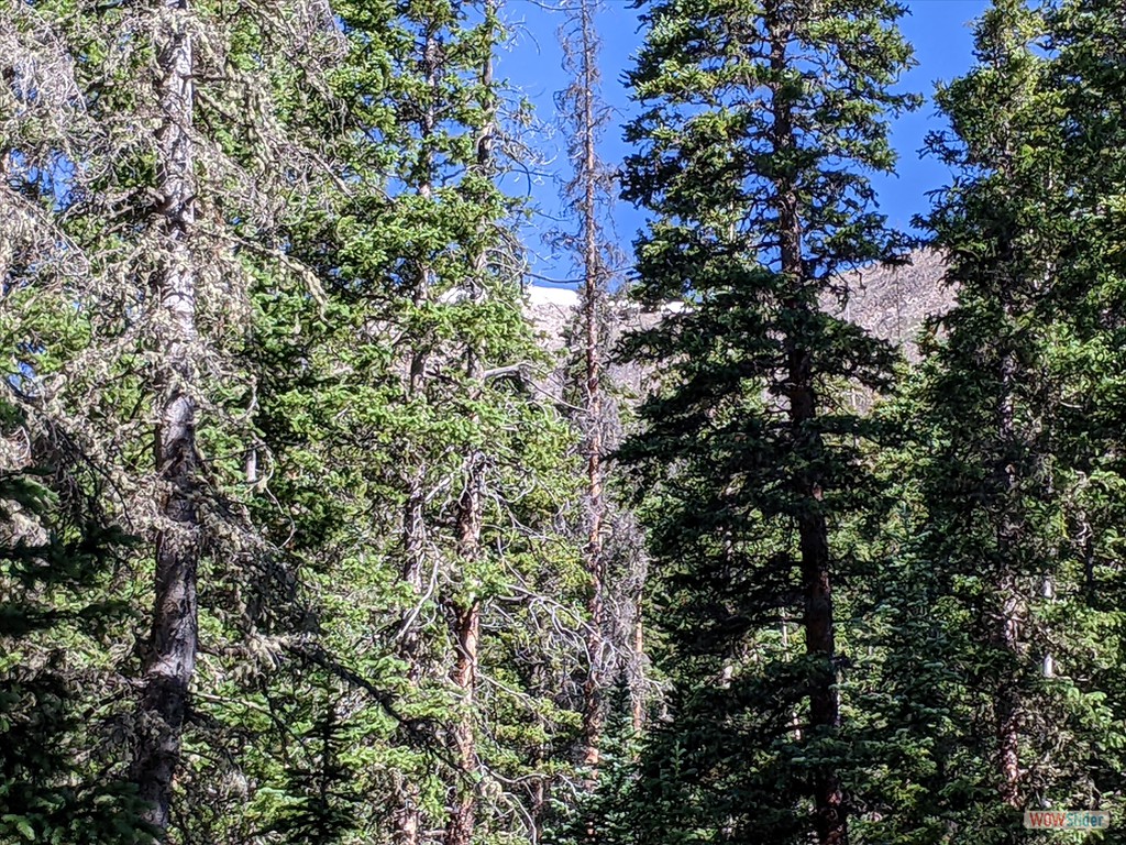 Trail_05