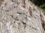 Trail_15