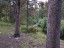 Trail_01